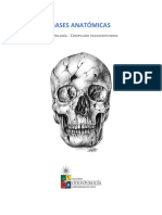 Bases Anatómicas: Dontología Ompilado Transcripciones