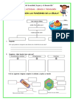 "Año de La Unidad, La Paz y El Desarrollo": ¿Cuáles Son Las Funciones de La Célula?