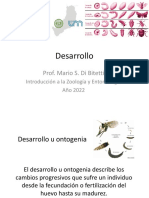 Desarrollo: Prof. Mario S. Di Bitetti