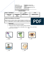 Evaluación formativa lenguaje