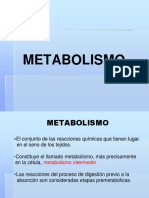 6 Metabolismo