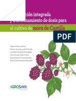 Mora de Castilla: Fertilización Integrada y Fraccionamiento de Dosis para