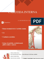 Carótida Interna