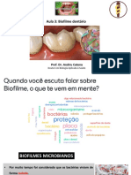 Aula 3: Biofilme Dentário: Prof. Dr. Andriu Catena