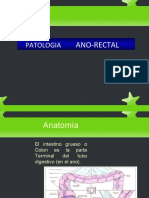 Patologia: Ano-Rectal