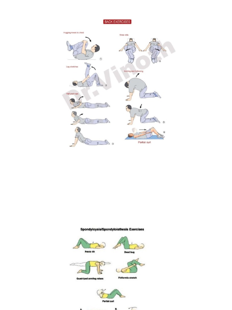 Back Exercises PDF