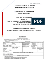 Plan de cuidados enfermería diarrea aguda