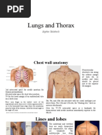 Lungs and Thorax: Sophie Tatishvili