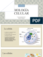 Biología Celular