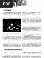 Guizzo - Cap 8 - Cultura