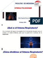 Sistema Pulmonar
