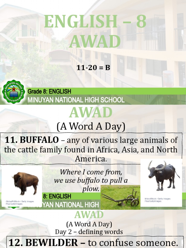 AWAD (A Word A Day) Defining Words from Buffalo to Compelling for an 8th Grade English Class PDF