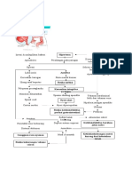 Pathway Apendisitis