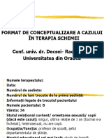 Format de Conceptualizare A Cazului În Terapia Schemei Conf. Univ. Dr. Decsei-Radu Alina. Universitatea Din Oradea