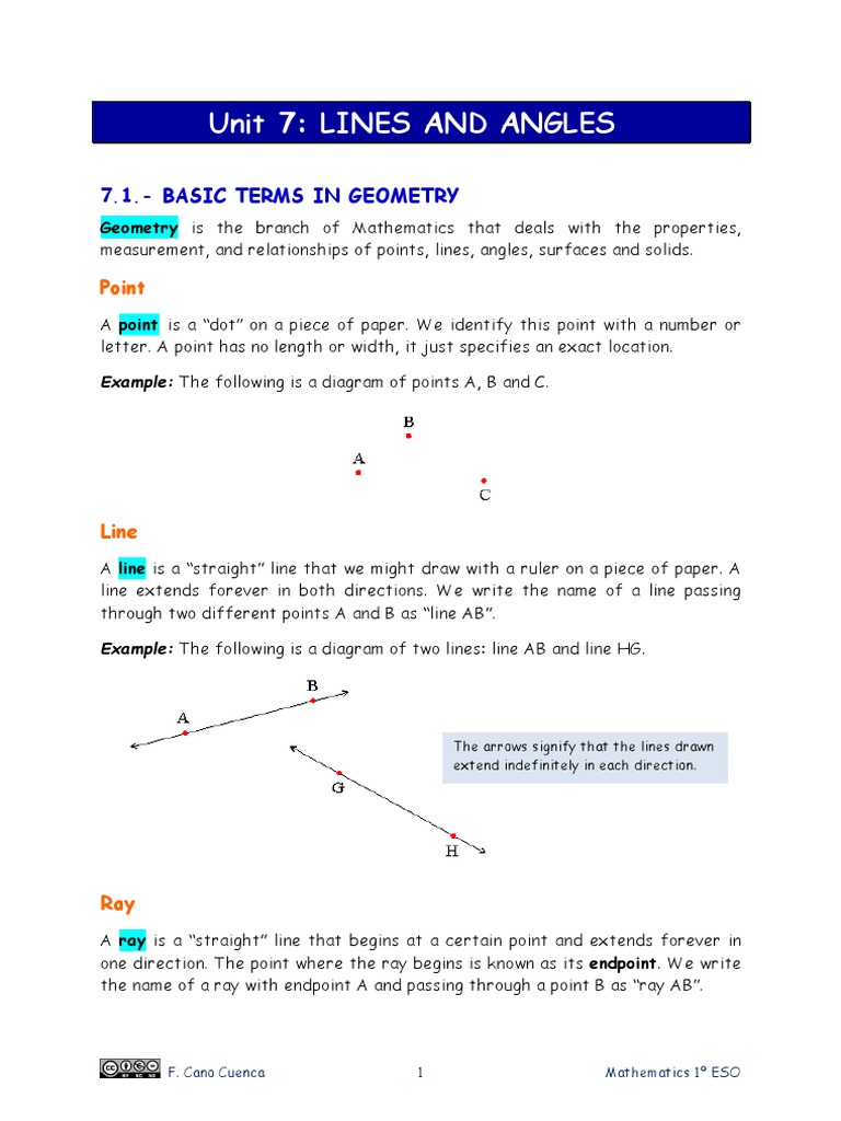 Geometry Basics: Lines and Angles | PDF | Line (Geometry) | Triangle