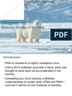 Molecular Biology of The Gene: Powerpoint Lectures