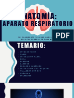 Aparato Respiratorio - 061954