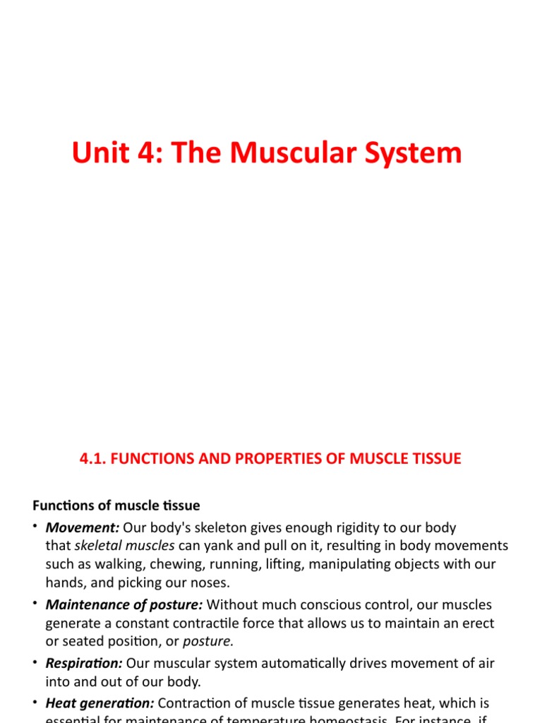 Human Physiology Chapter 4 - End | PDF | Muscle Contraction | Adrenal Gland