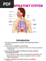 11 Respiratory Pharma Print