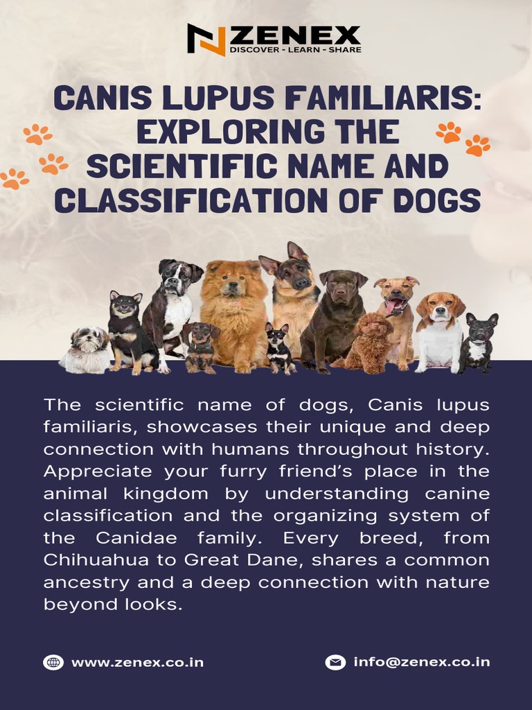 unleash-the-canine-classification-discover-scientific-name-of-dog-pdf