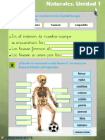 Esqueleto y articulaciones humanas