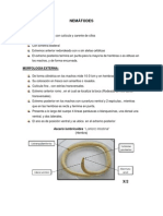 Práctica N1 Parasitología