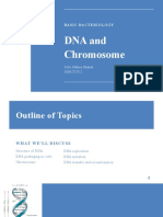 DNA and Chromosome