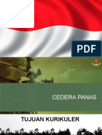 Cedera Panas