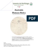 Anatomia Humana Básica Anatomia Humana Básica