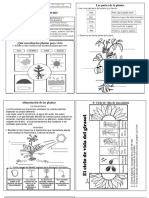 Las Partes de La Planta.: Priorización Curricular 2023