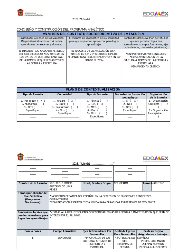 Formato para El Codiseño Del Programa Analitico | PDF | Plan de ...