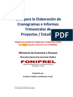 Guía para La Elaboración de Cronogramas e Informes Trimestrales de Proyectos / Estudios