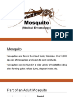 Mosquito: (Medical Entomology)