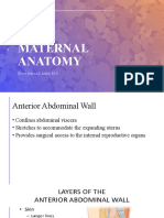 Maternal Anatomy: Kevin Marcial I. Aralar, M.D