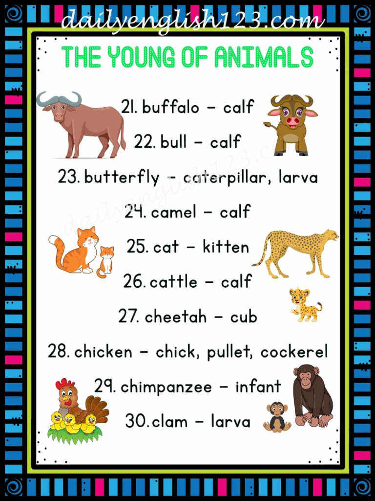 The Young of Animals 3 PDF