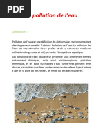 Exposé sur la Pollution et l'Environnement | PDF | Environnement ...