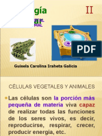 Biología Celular II .PPT (Recovered)