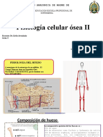 Fisiologia Celular Osea Ii Original