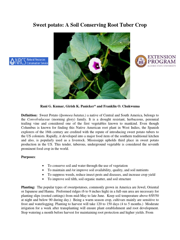 Sweet Potato TechNotes PDF Crop Rotation Soil