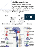 Autonomic Nervous System