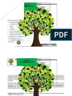 Plan DE IMPLEMENTACION PRACA