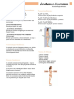 Anatomia Humana: Diferentes Áreas de Estudo Da Anatomia Planos Anatômicos