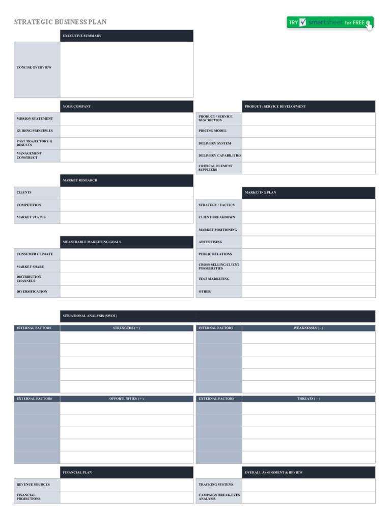 Strategic Business Plan Guide | PDF | Swot Analysis | Marketing