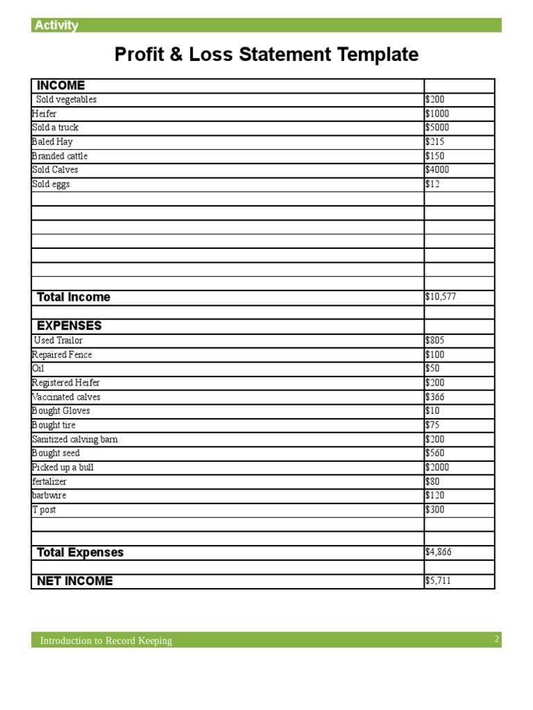 Activity Profit and Loss Statement Template PDF