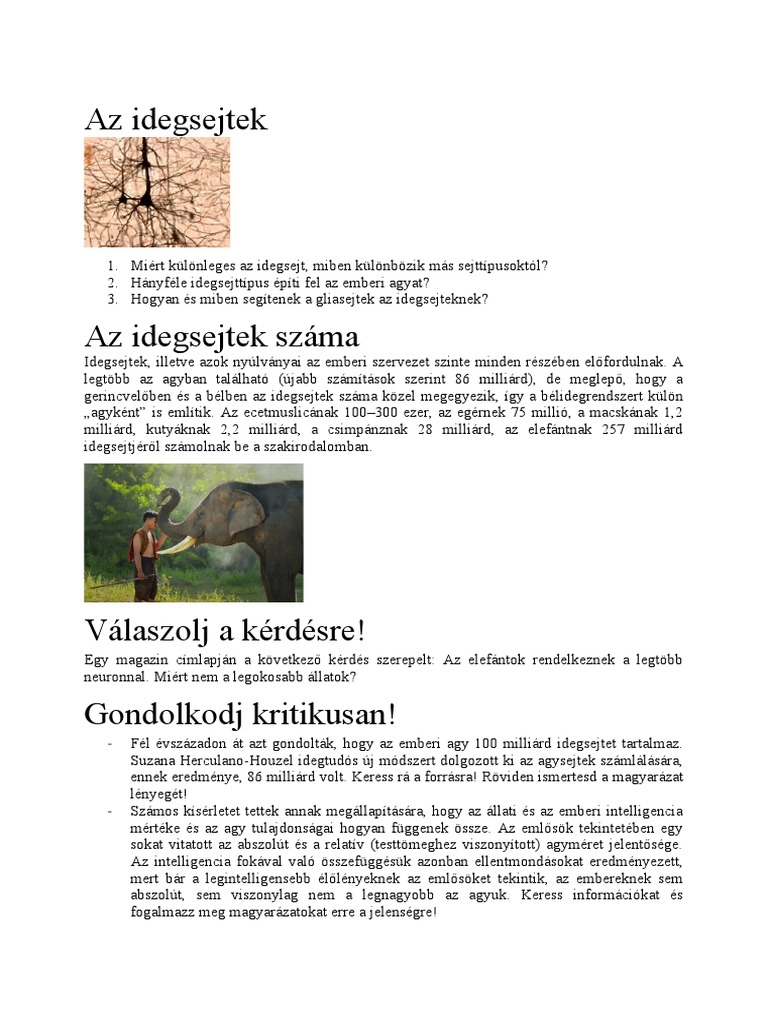 Ideg 1pelda Mego | PDF