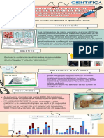 Infografia 15