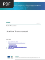 Audit of Public Procurement