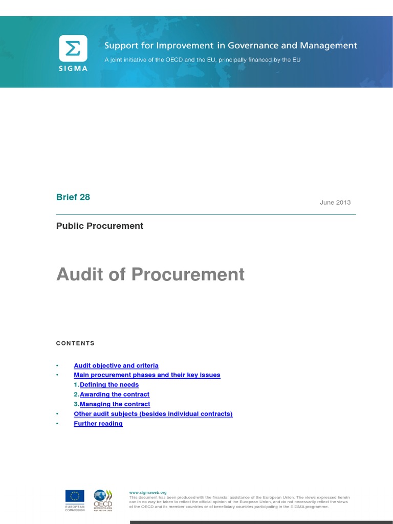 Public Procurement Audit Guidelines | PDF | Audit | Procurement