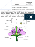 REPRODUCCIÓN EN PLANTAS (SEXUAL Y ASEXUAL) - Biologia 8vo 