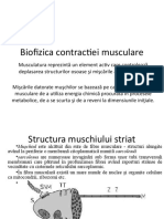 Contracția Musculara BF FIM